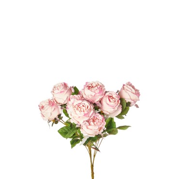 JK Home Décor - Bush Rosa Cabbage x10