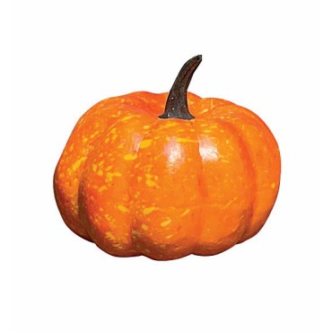 autumn pumpkin pack 2 in polybag + header card