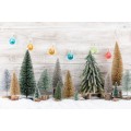 ΤINNY CHRISTMAS TREES