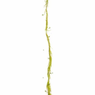 JΚ Home Décor - Γιρλάντα με Πέρλα Πράσινη 180cm