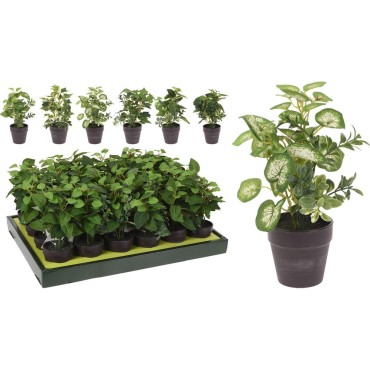 JK Home Décor - Γλαστράκι με Φυτό 20cm 6Σχδ