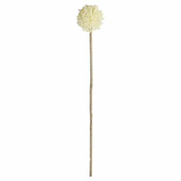JK Home Décor - Branch
