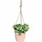 JΚ Home Décor - Κασπώ Terracota με Φυτό Κρεμαστό 10x10cm 16cm