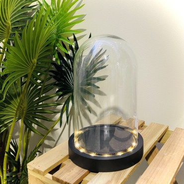 JK Home Décor - Glass Dome LED