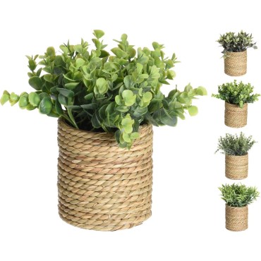 JK Home Décor - Γλαστράκι σε Κασπώ Φυσικό 11.5cm 4Σχδ