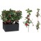 JK Home Décor - Κλαδί με Μήλα & Ευκάλυπτο 50cm 2Σχδ