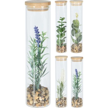 JK Home Décor - Plant in Glass Bamboo Lid