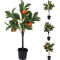 JK Home Décor - Γλαστράκι με Φυτό 30x60cm 3Σχδ
