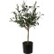 JΚ Home Décor - Δέντρο Ελιά 66cm