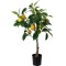 JK Home Décor - Φυτό Λεμονιά 33x24x70cm