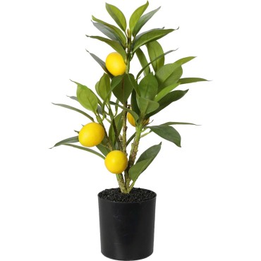 JK Home Décor - Φυτό Λεμονιά 10x43cm