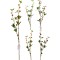 JK Home Décor - Κλαδί με Καρπούς 15x88cm 4Σχδ