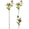 JK Home Décor - Κλαδί Berry Mytroceue 20x70cm 2Σχδ