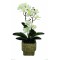 JK Home Décor - Ορχιδέα Λευκή σε Κασπώ 38cm