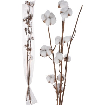 JK Home Décor - Cotton on 4 Branches