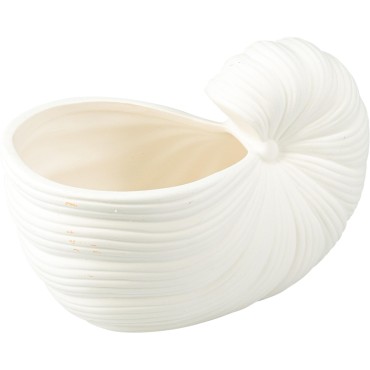 JΚ Home Decor - Γλάστρα Κοχύλι 20x10cm