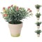 JK Home Décor - Potted Plant 7x15cm 4 Ass