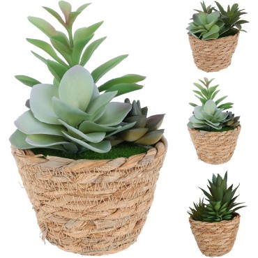 JΚ Home Decor - Παχύφυτο σε Καλάθι 16cm 3Ass