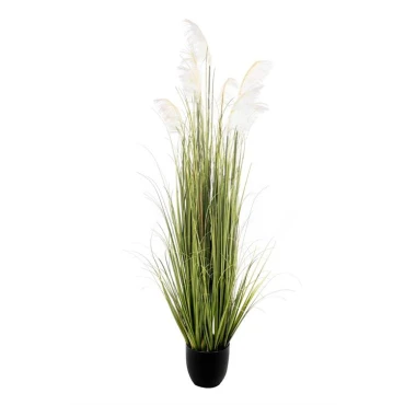 JΚ Home Décor - Φυτό Pampas 140cm