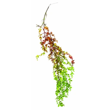 JK Home Décor - Cascante Eucalyptus 100cm