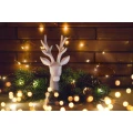 Deers & Tales