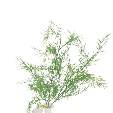JK Home Décor - Avena 70cm