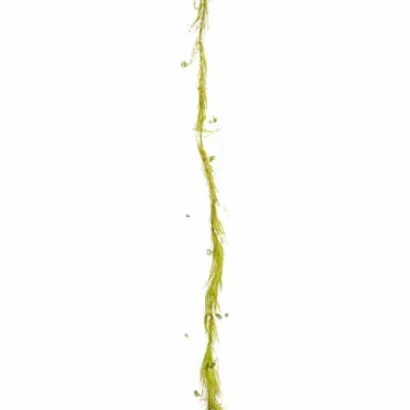 JΚ Home Décor - Γιρλάντα με Πέρλα Πράσινη 180cm