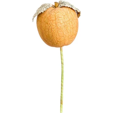 JK Home Décor - Μήλο Σε Στικ 9cm
