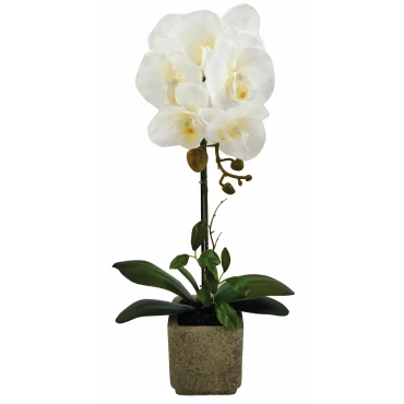 JK Home Décor - Ορχιδέα Λευκή σε Κασπώ 56cm
