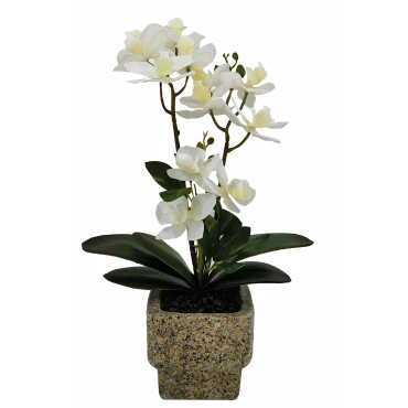 JK Home Décor - Ορχιδέα Λευκή σε Κασπώ 38cm
