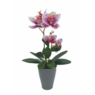 JK Home Décor - Ορχιδέα Φούξια σε Κασπώ 34cm