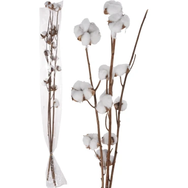 JK Home Décor - Cotton on 4 Branches