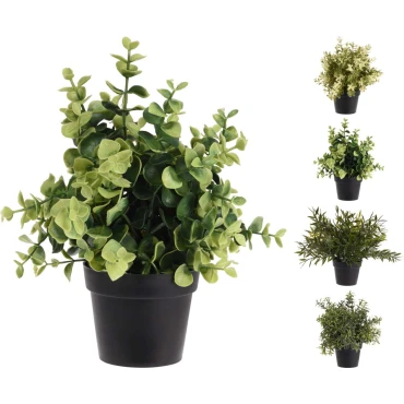 JK Home Décor - Γλαστράκι με Φυτό 23cm 4Σχδ