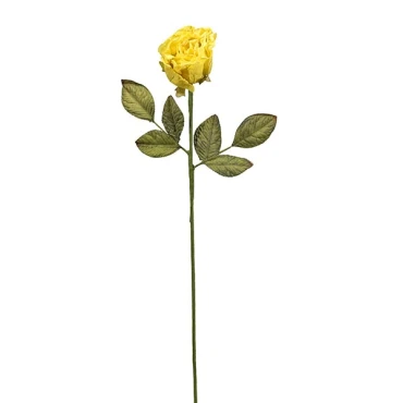 FLOWER STEM