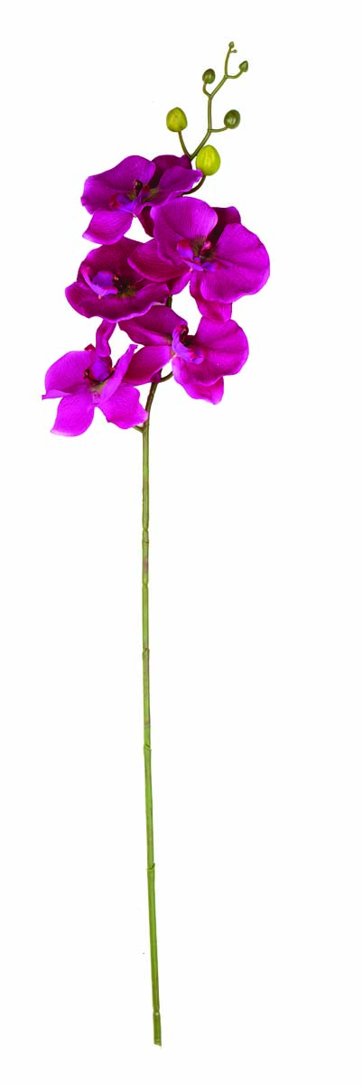 JK Home Décor - Kλαδί Ορχιδέα