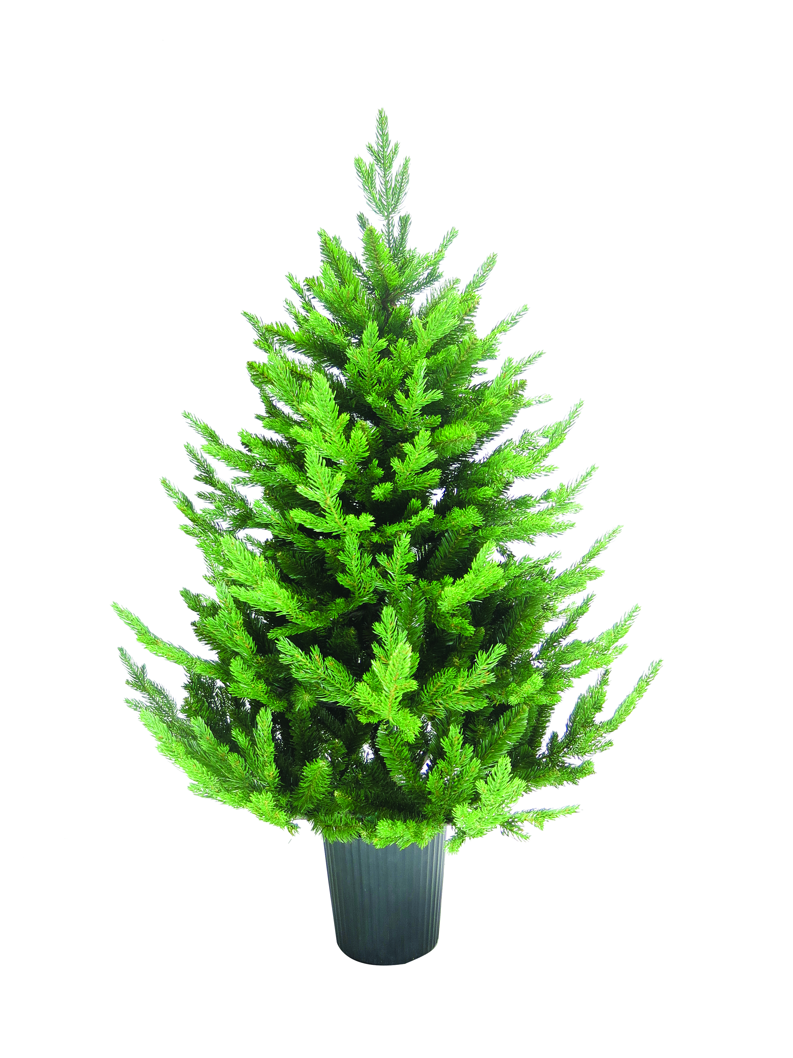 JK Home Décor - Δέντρο σε Γλάστρα ΡE 120cm