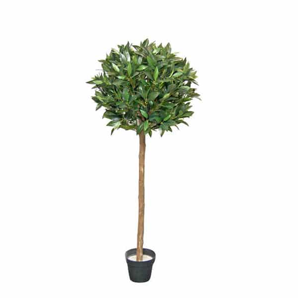 JΚ Home Décor - Δέντρο Δάφνη 120cm