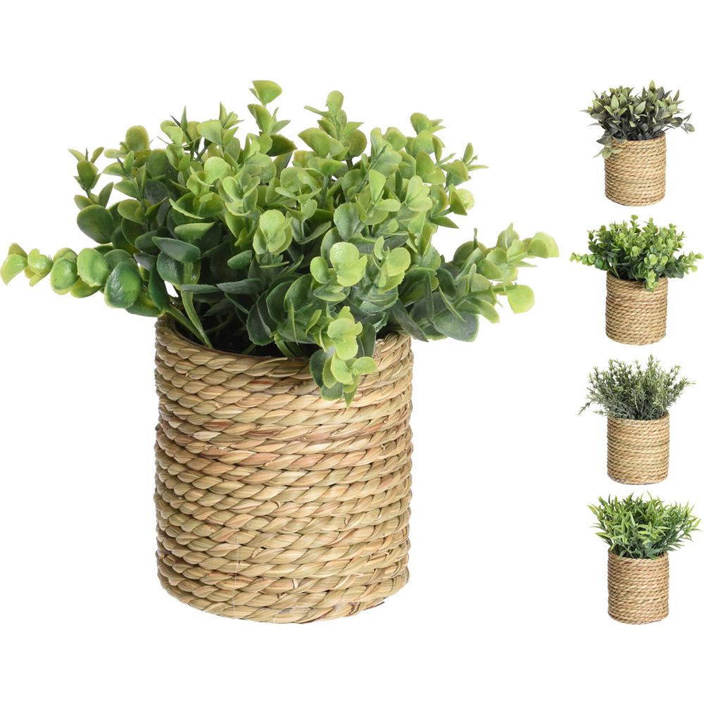 JK Home Décor - Γλαστράκι σε Κασπώ Φυσικό 11.5cm 4Σχδ JK Home Décor - Γλαστράκι σε Κασπώ Φυσικό 11.5cm 4Σχδ
