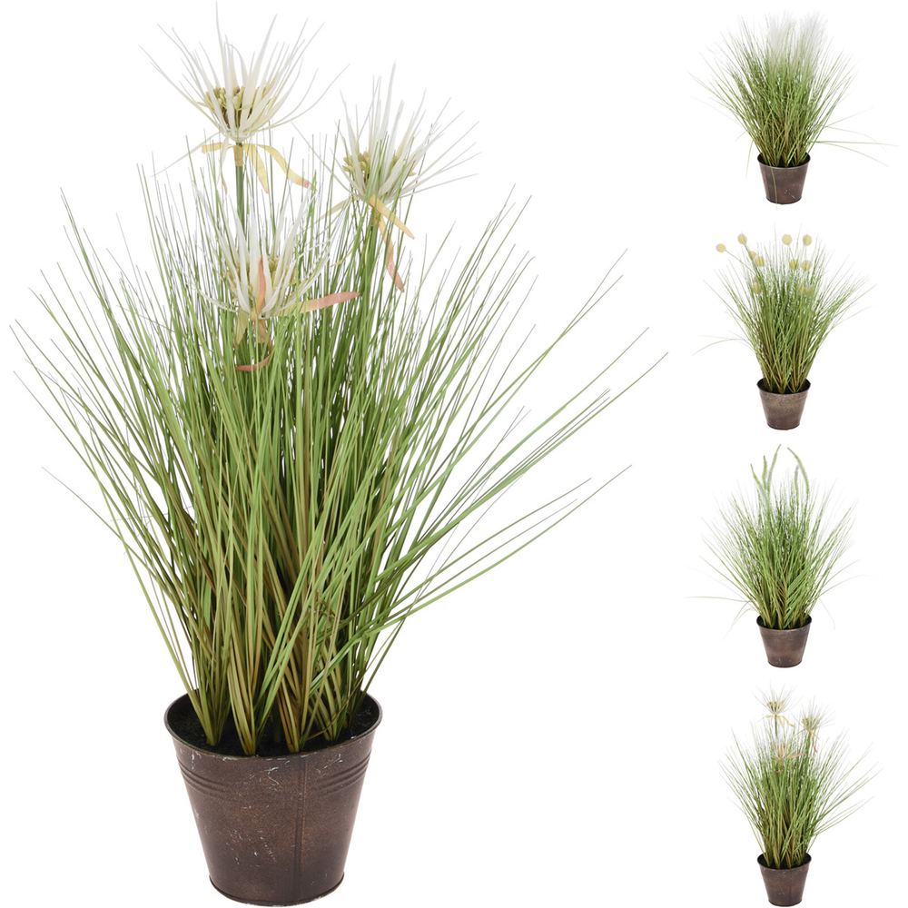 JΚ Home Décor - Γλάστρα με Φυτό Αγρού 4Σχδ JΚ Home Décor - Γλάστρα με Φυτό Αγρού 4Σχδ