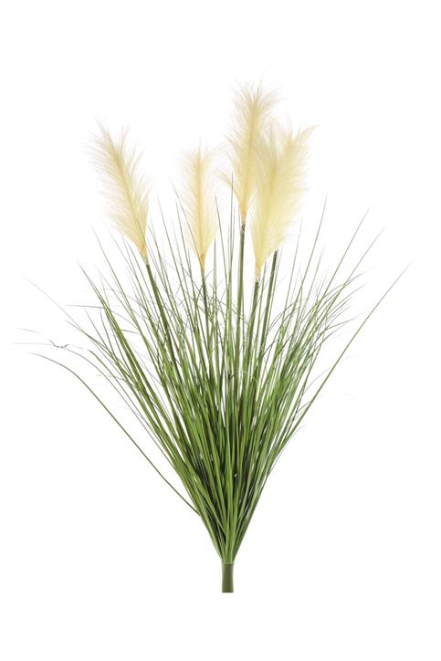 JΚ Home Décor - Feathertop Grass