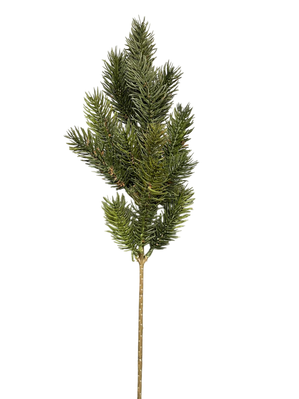 JΚ Home Décor - Κλαδί Πεύκο