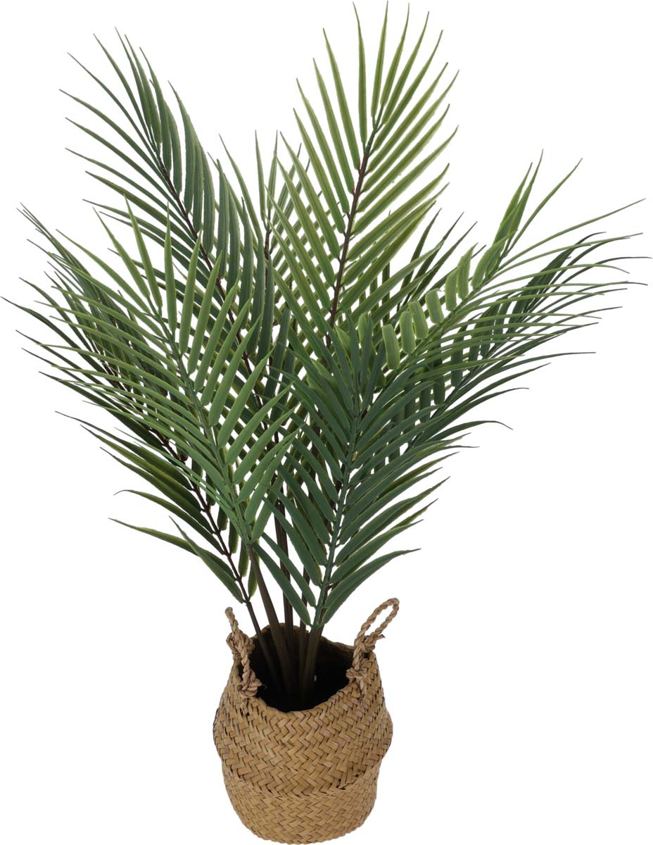JK Home Décor - Γλαστράκι Κέντια 22x64cm