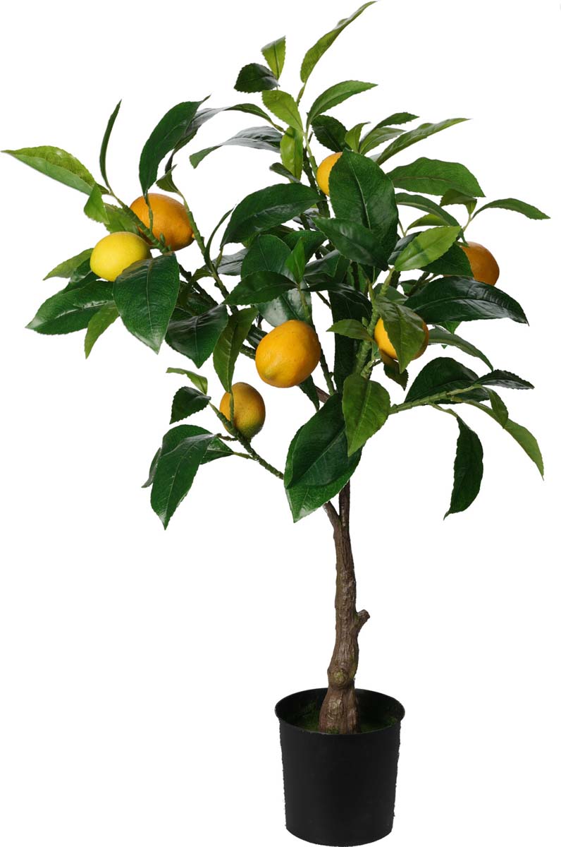 JK Home Décor - Φυτό Λεμονιά 33x24x70cm
