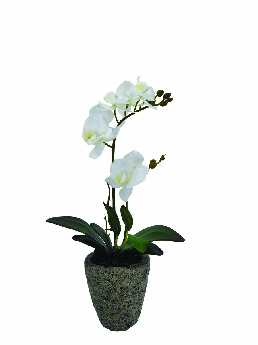 JK Home Décor - Ορχιδέα Λευκή σε Κασπώ 34cm