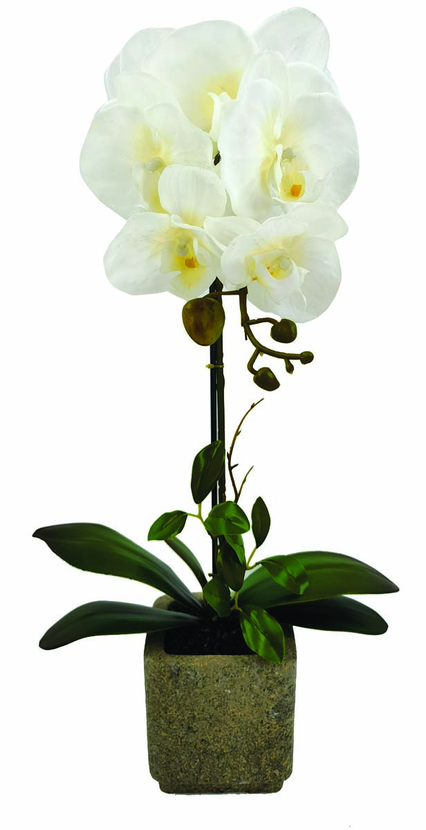 JK Home Décor - Ορχιδέα Λευκή σε Κασπώ 56cm
