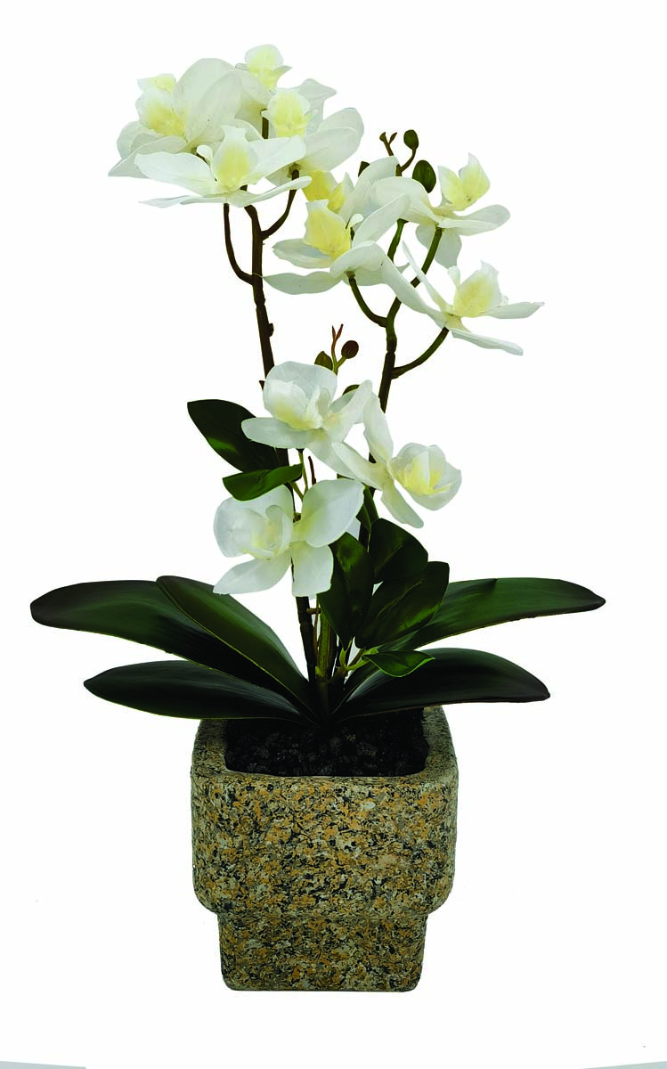 JK Home Décor - Ορχιδέα Λευκή σε Κασπώ 38cm
