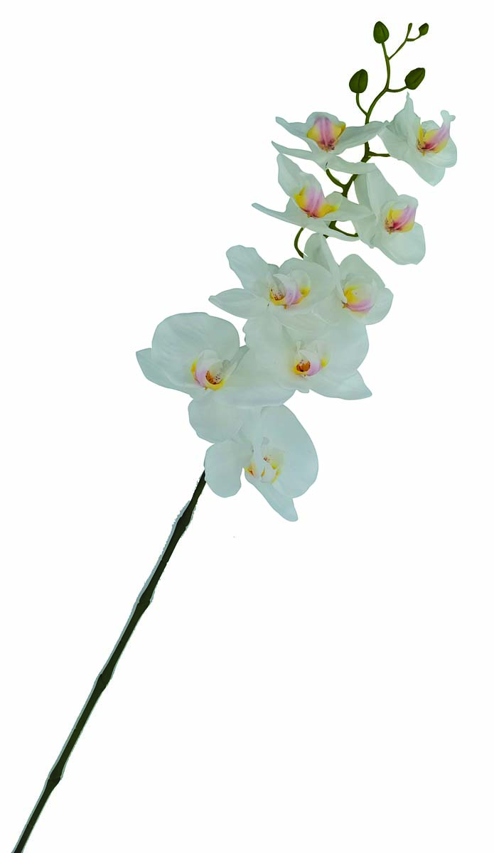 JK Home Décor - Κλαδί Ορχιδέα Λευκή 92cm