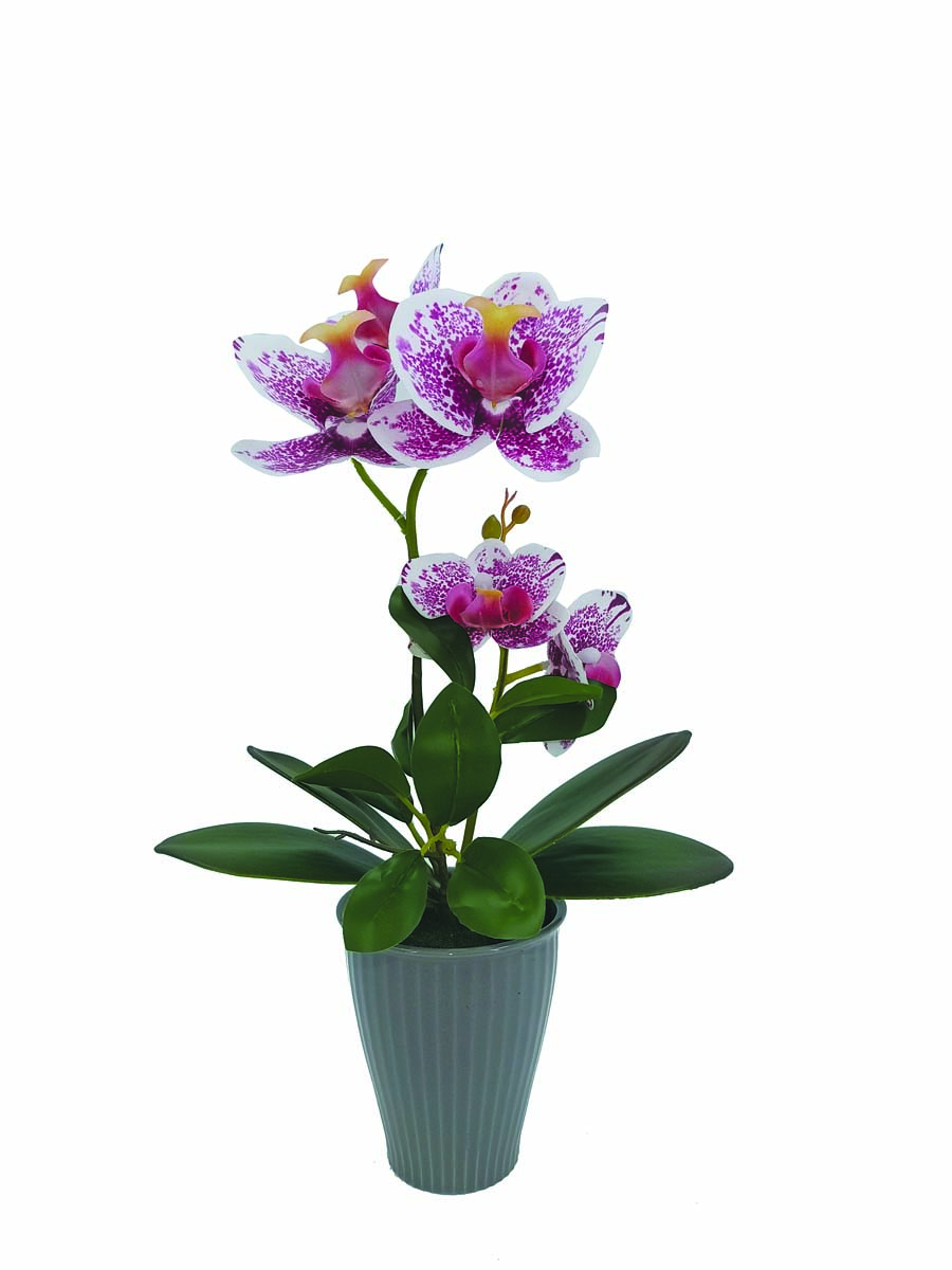 JK Home Décor - Ορχιδέα Φούξια σε Κασπώ 34cm